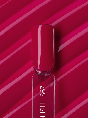 Linto Gel polish 867